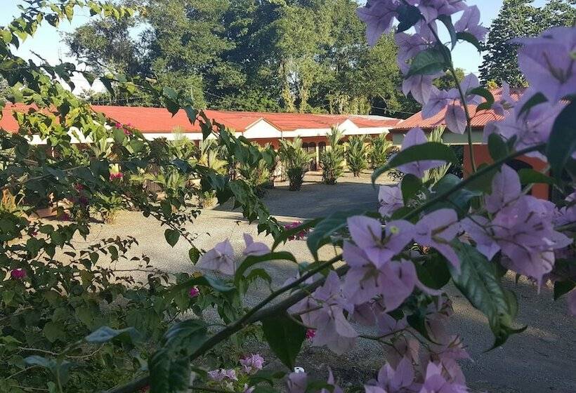 ホテル Vista Al Tortuguero