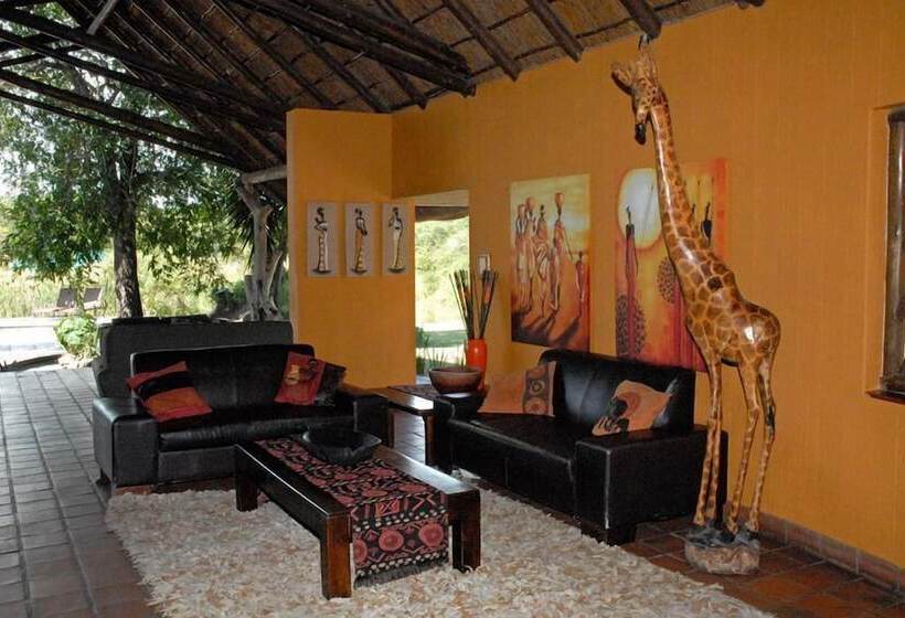 Gazebo Lodge   Hostel