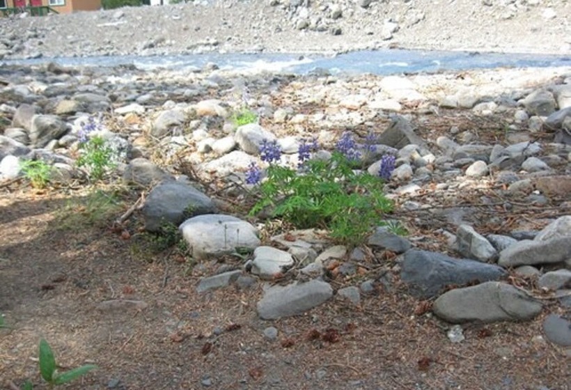 בית מלון כפרי The Perch Resort