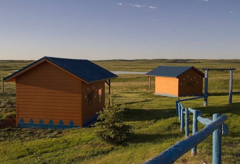 Lodgepole Gallery