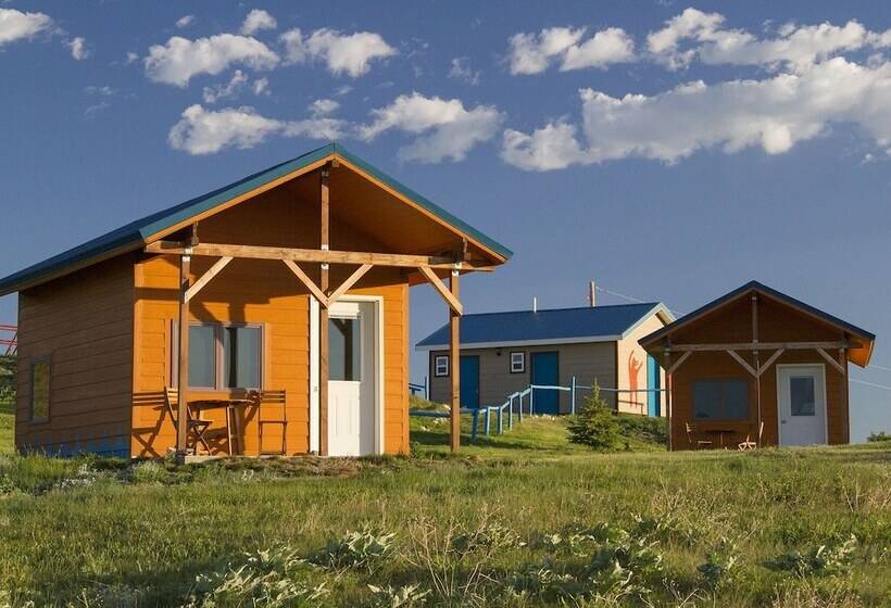Lodgepole Gallery