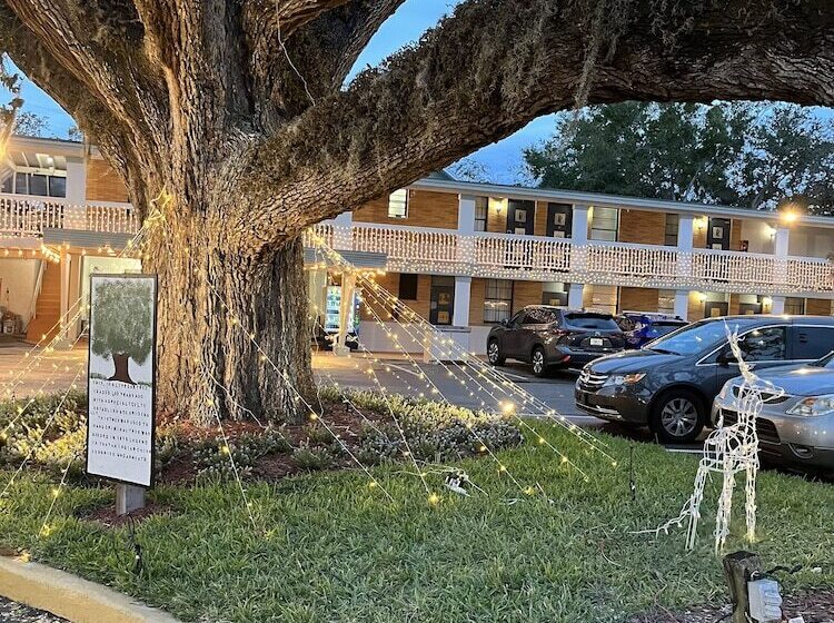 Мотель Castillo Inn