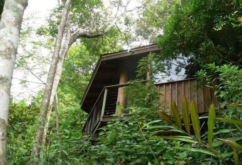 Mt Quincan Crater Retreat