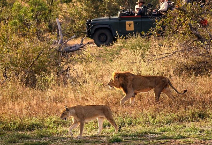 ホテル Baobab Ridge Private Lodge