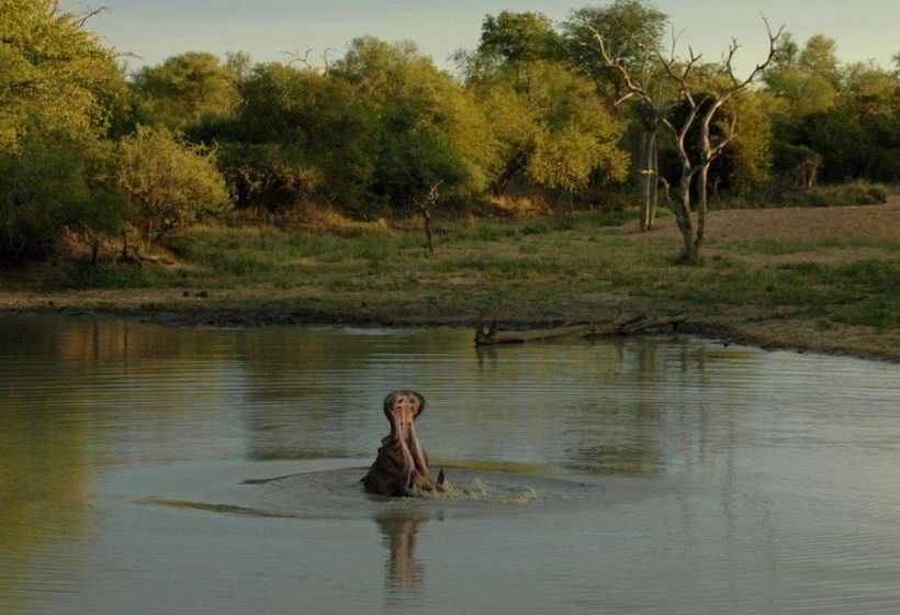 ホテル Baobab Ridge Private Lodge