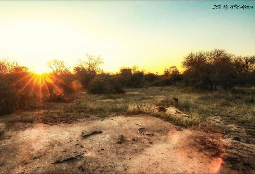 ホテル Baobab Ridge Private Lodge