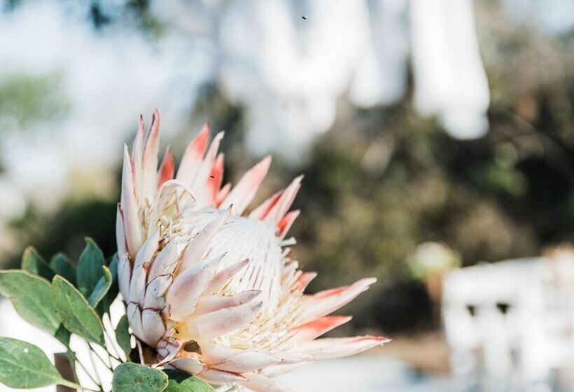 ホテル Baobab Ridge Private Lodge