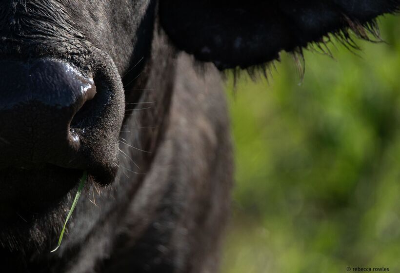 ホテル Baobab Ridge Private Lodge