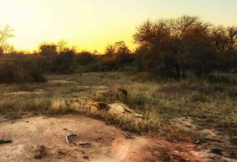 ホテル Baobab Ridge Private Lodge