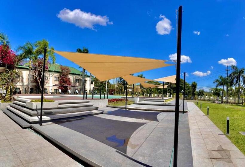 فندق Luisita Central Park