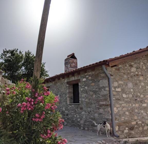 پانسیون Bahab Guest House