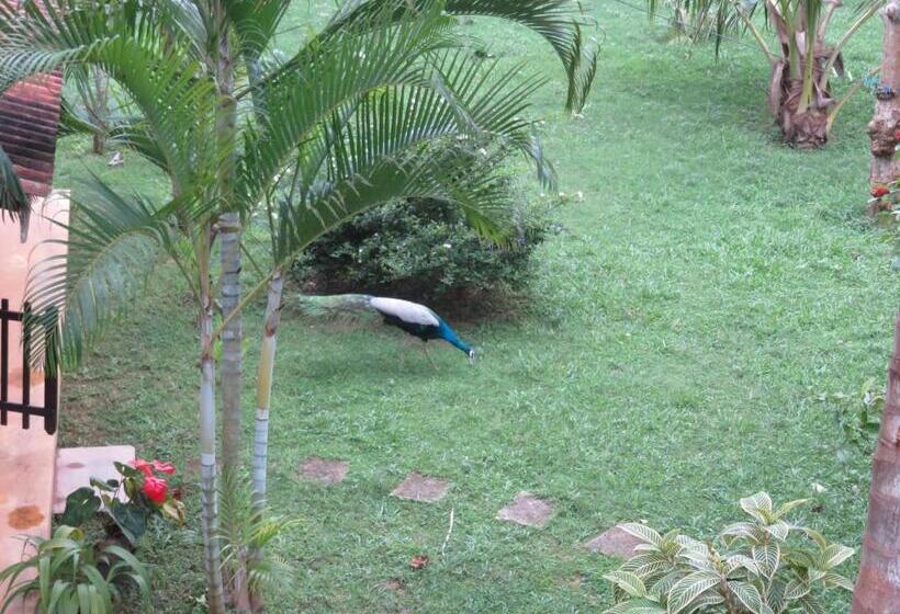 Pensão Beach Lagoon Guesthouse