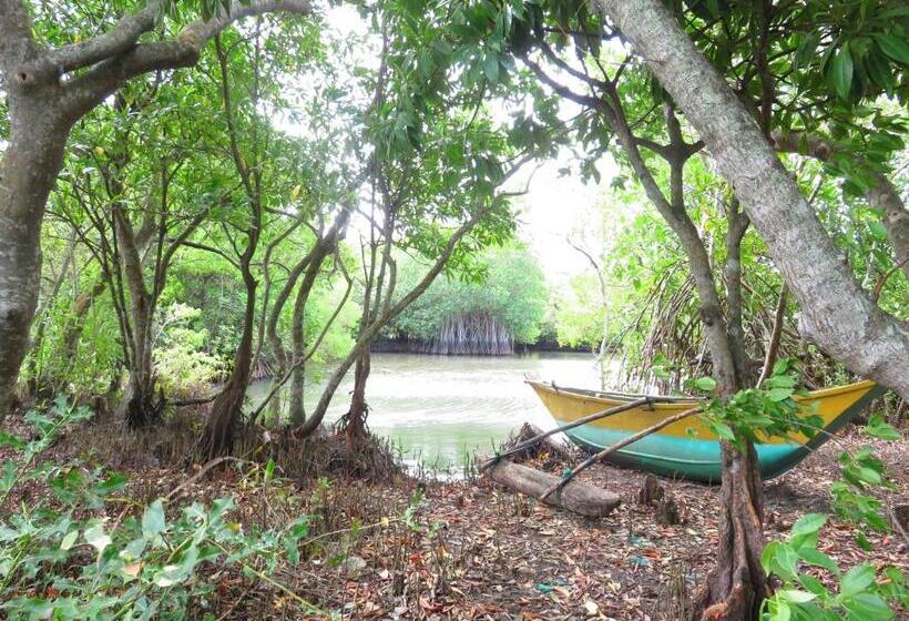 Pensão Beach Lagoon Guesthouse