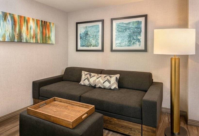 فندق Springhill Suites By Marriott San Diego Carlsbad