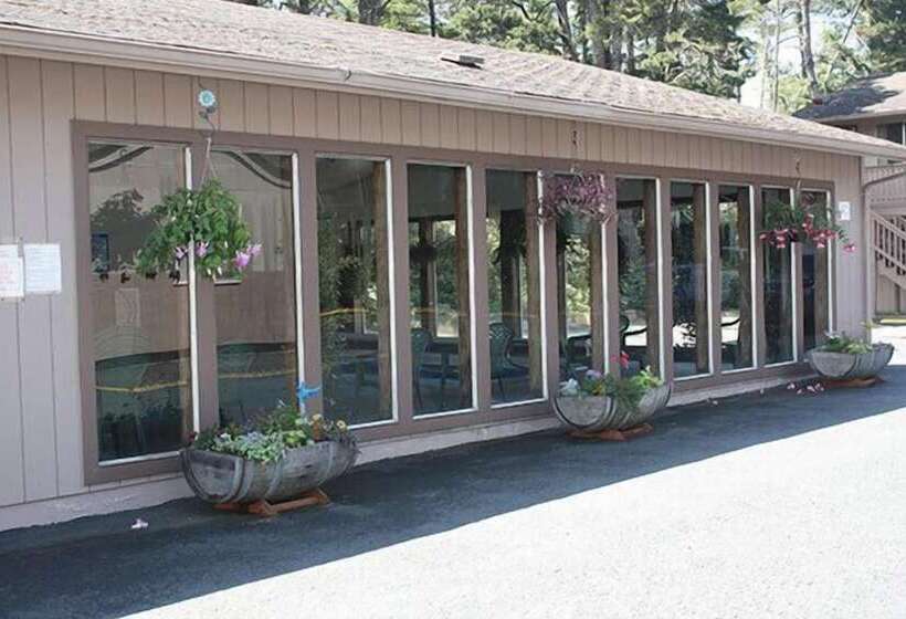 汽车旅馆  Economy Inn