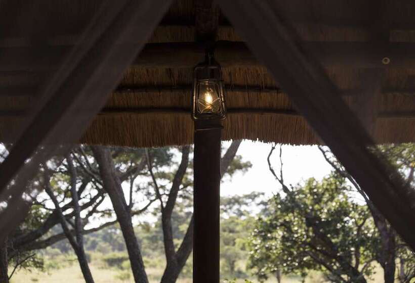 酒店 Honeyguide Ranger Camp