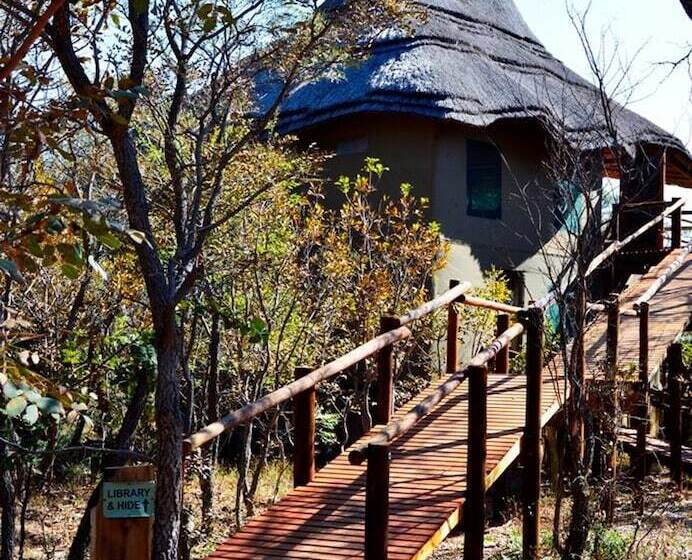 酒店 Honeyguide Ranger Camp