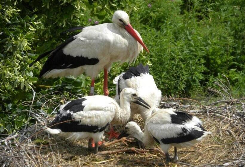 酒店 Hôtel Berceau Du Vigneron