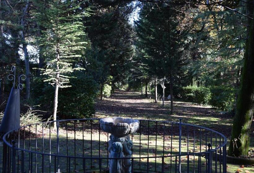 فندق Il Boschetto