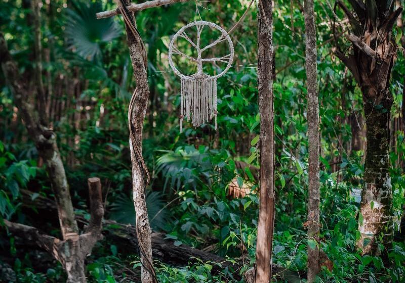 فندق Lunita Jungle