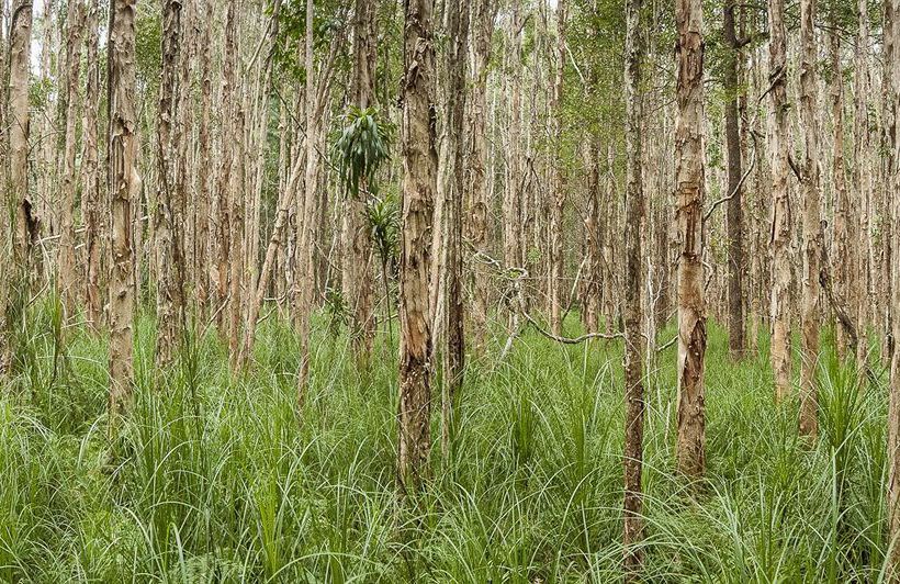 تختخواب و صبحانه Abelia House