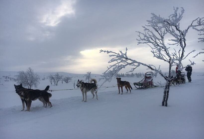 Общежитие Amber Lodge Mt Buller