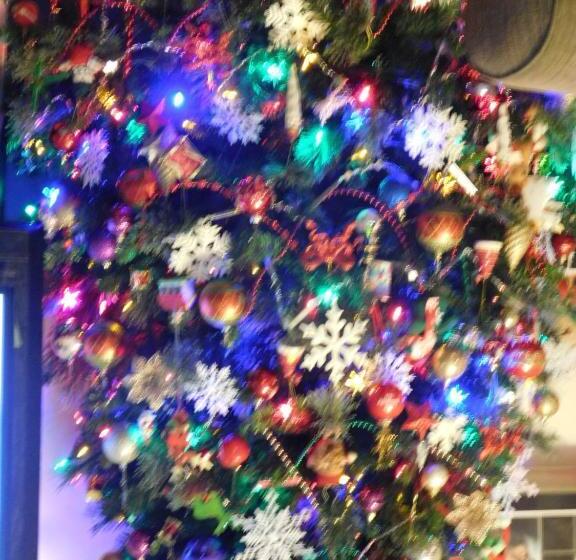 膳宿费 Anchorage Guest House And Selfcontained Accommodation
