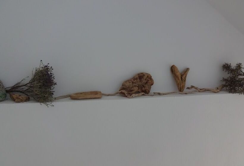 بنسيون Gigilos