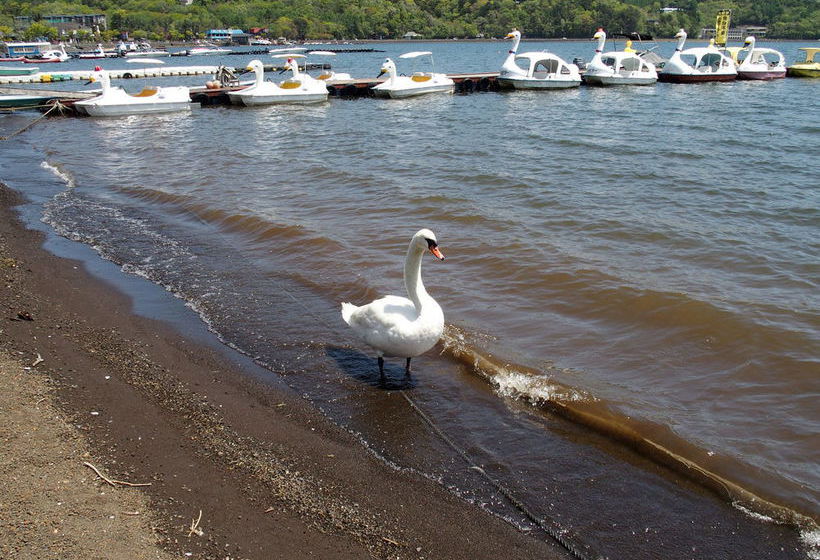 بنسيون Guesthouse Hiiragi