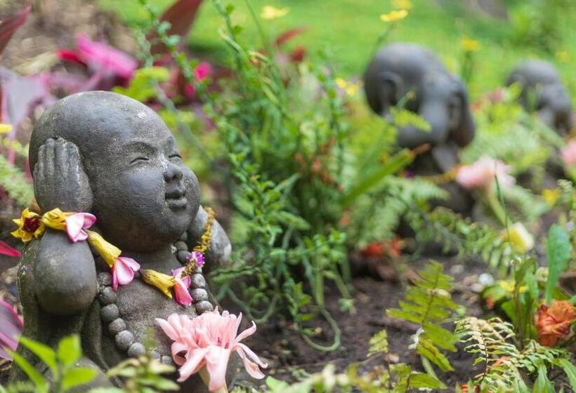 Thalassa Dive & Wellbeing Resort Manado