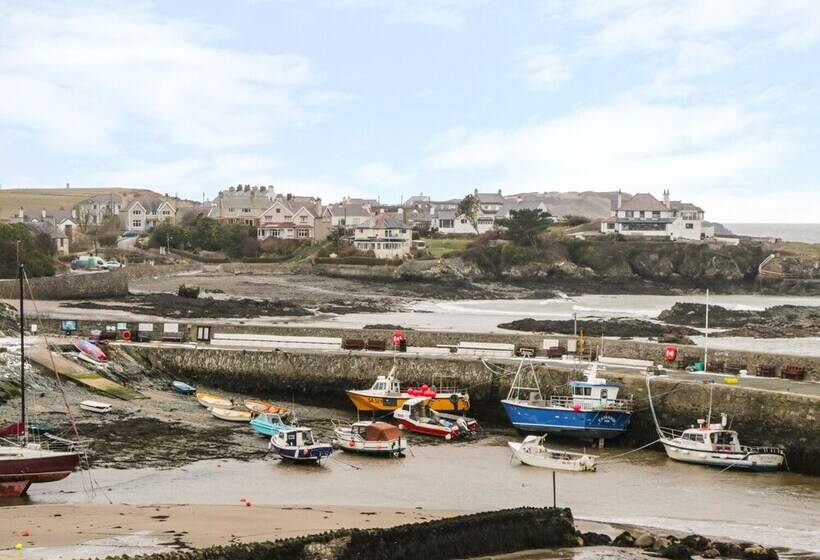 Harbour View