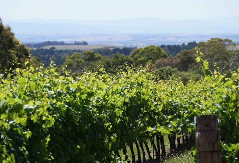 Gisborne Peak Winery Short Term Stays
