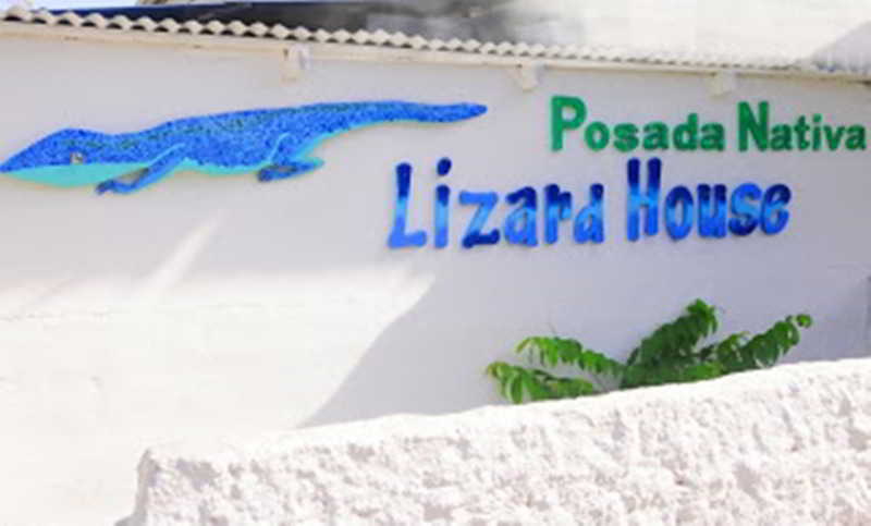هتل Posada Nativa Lizard House