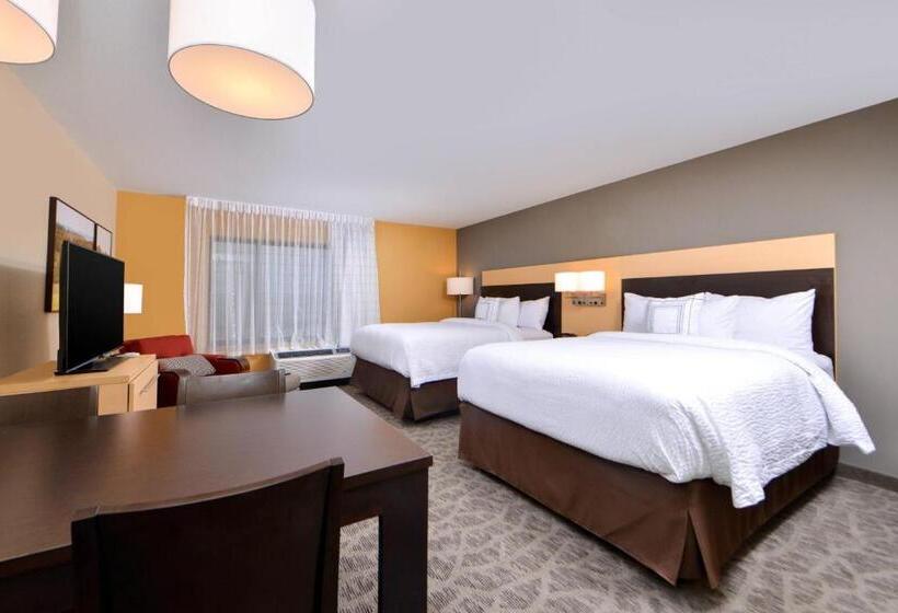 ホテル Towneplace Suites By Marriott Detroit Commerce