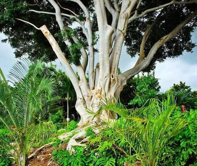 פנסיון Banyan Tree Sanctuary