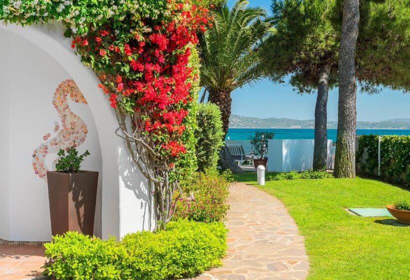 هتل The Pelican Beach Resort & Spa  Adults Only