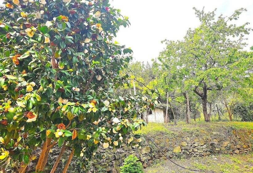 Yalla Chorefto   Hotel & Fun