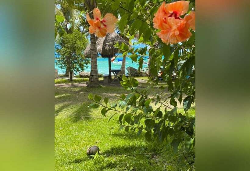 فندق Cayuco Maya