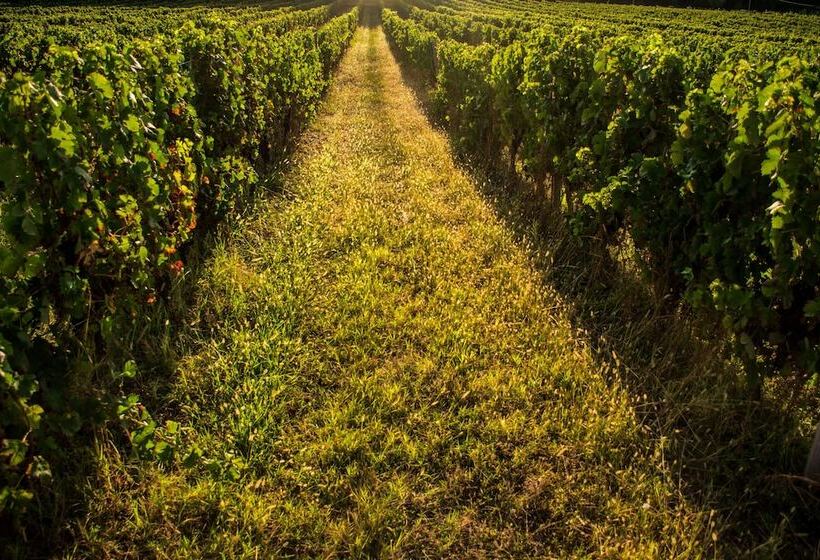 Vandenbeld Wines B&b