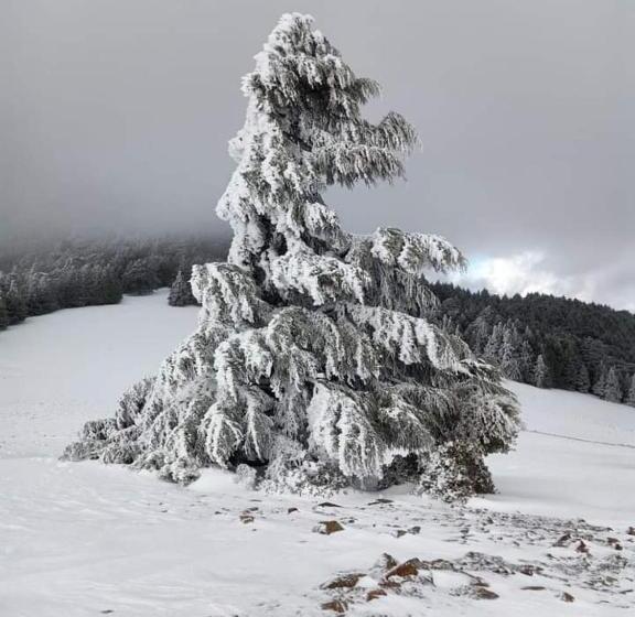 فندق صغير Gîte Dayet Chiker