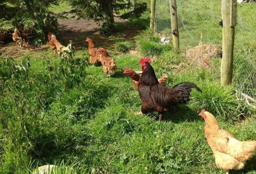 민박 Bradridge Farm