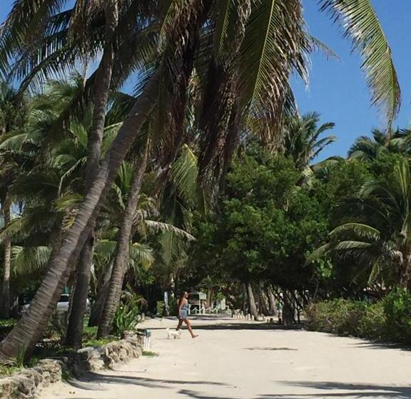فندق Caye Casa