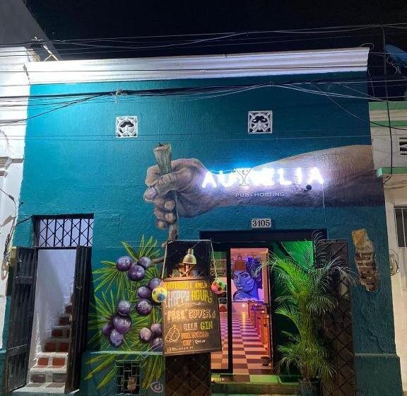 تختخواب و صبحانه Aurelia Compartida Hospedaje