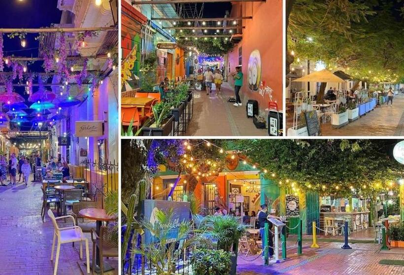 تختخواب و صبحانه Aurelia Compartida Hospedaje