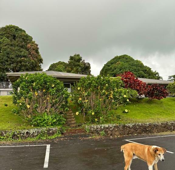 بنسيون Nohokai At Kona Joe Coffee Farm
