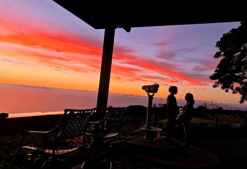 بنسيون Nohokai At Kona Joe Coffee Farm