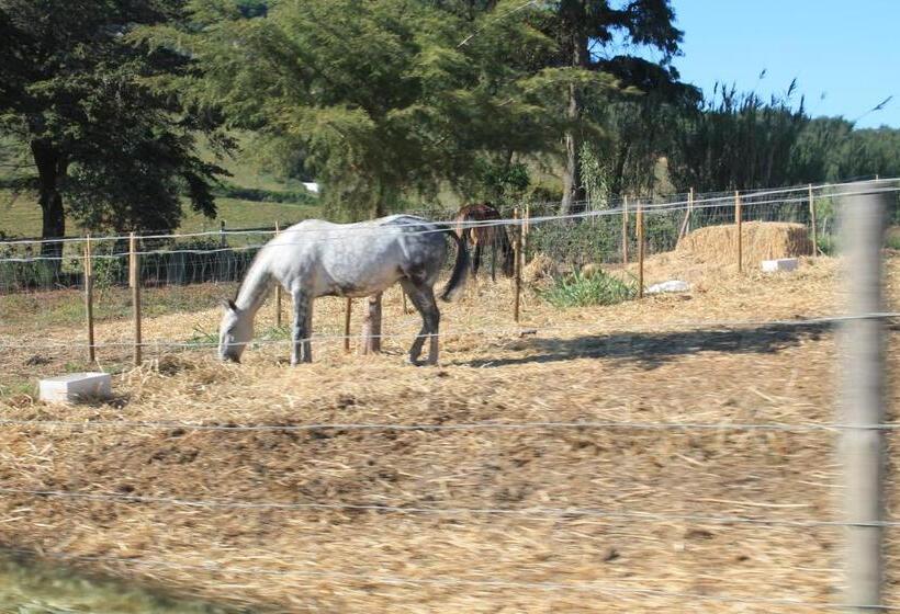 פנסיון Ocean Country Guest House Freiria