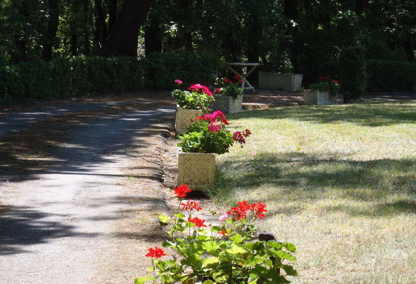 住宿加早餐  La Villa Les Pins