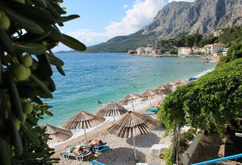 فندق Beach