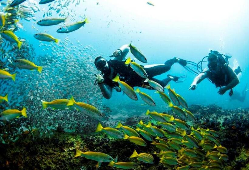 בית מלון כפרי Devocean Eco Adventure Lodge